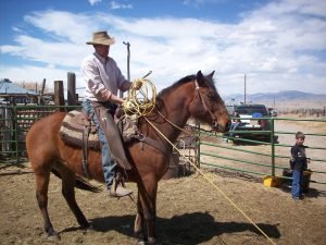 Cowboy roping a calf at a branding