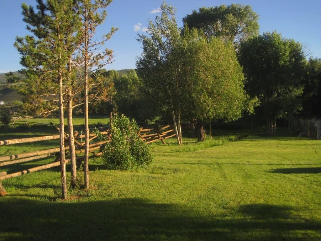 Beautiful Yard and View