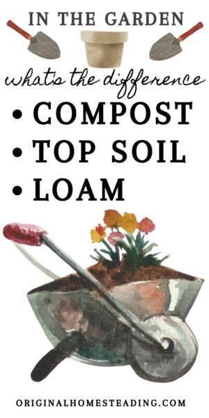 Easy Guide to Compost vs Top Soil, Garden Soil, & Loam promo image
