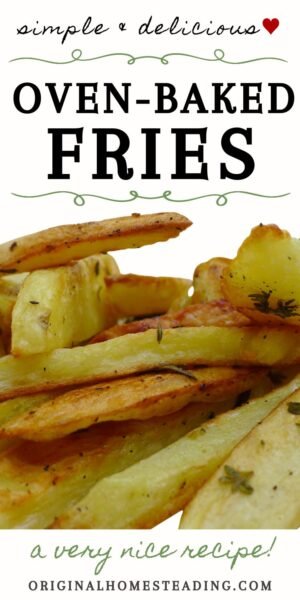 How to Make Homemade Oven Baked French Fries promo image