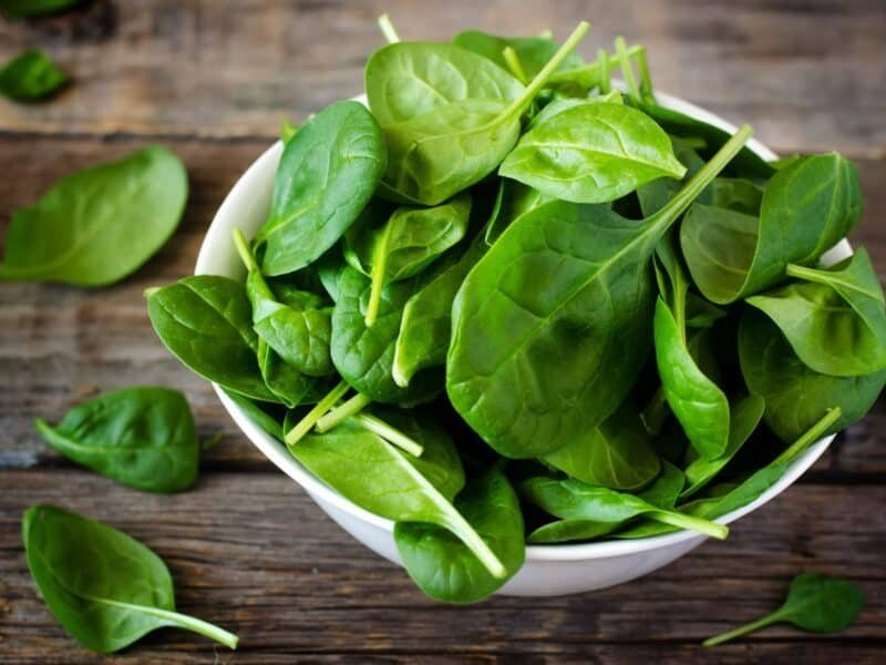 freshly picked spinach leaves