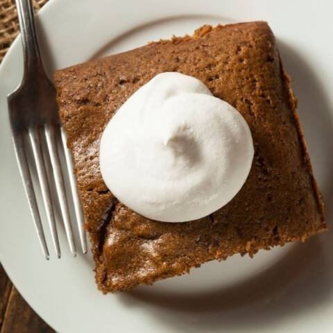 a piece of homemade gingerbread