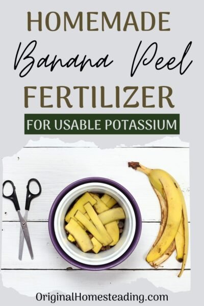 promo image for Simple Banana Peel Fertilizer