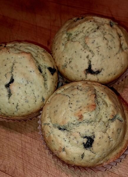 Fresh Muffins with blueberries, poppy seeds and a touch of lemon cooling on a cutting board