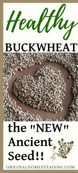 All You Need to Know About Buckwheat promo image
