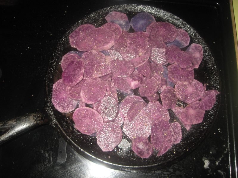 Wall tents set up in s meadow at a hunting Camp