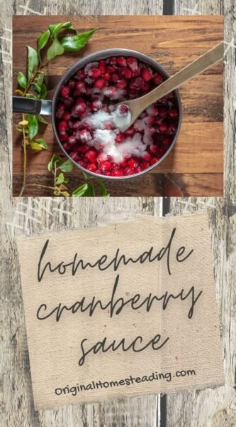 Cranberry Sauce promo image