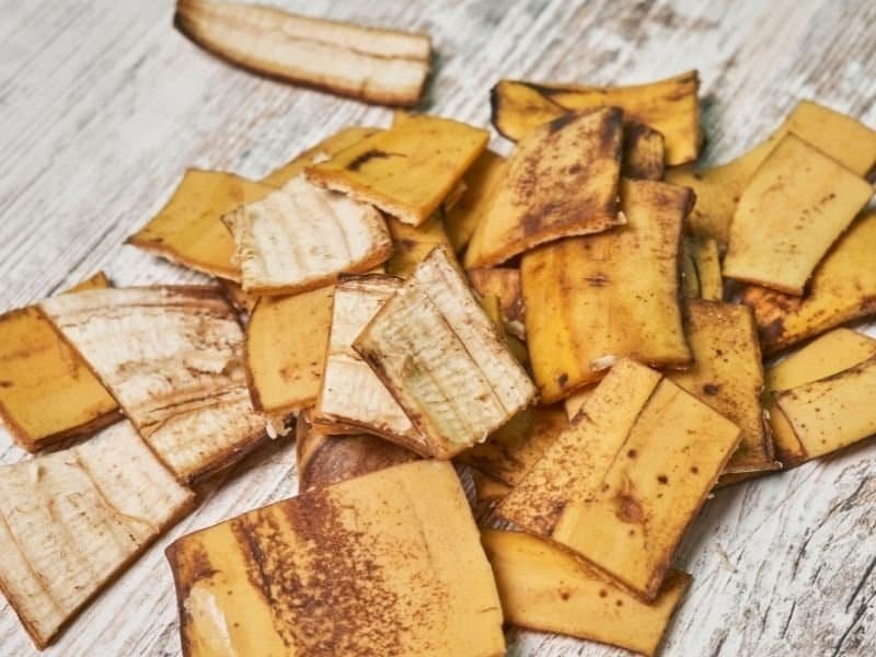 pieces of cut up banana peels for fertilizer