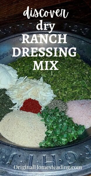 DIY Dry Ranch Seasoning Pinterest Pin Promo
