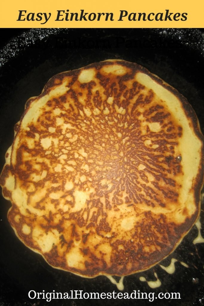 Easy Einkorn Pancakes 2 Promo image