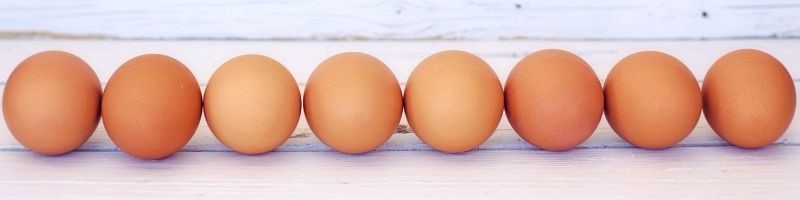 a row of fresh brown eggs on a table