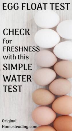 SIMPLE EGG FLOAT TEST: How to Test for Egg Freshness