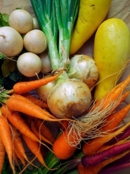 freshly harvested onions, carrots, yellow squash and turnips