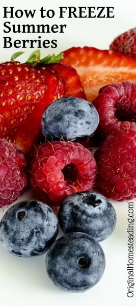 fresh summer berries with strawberries, raspberries, blueberries and blackberries
