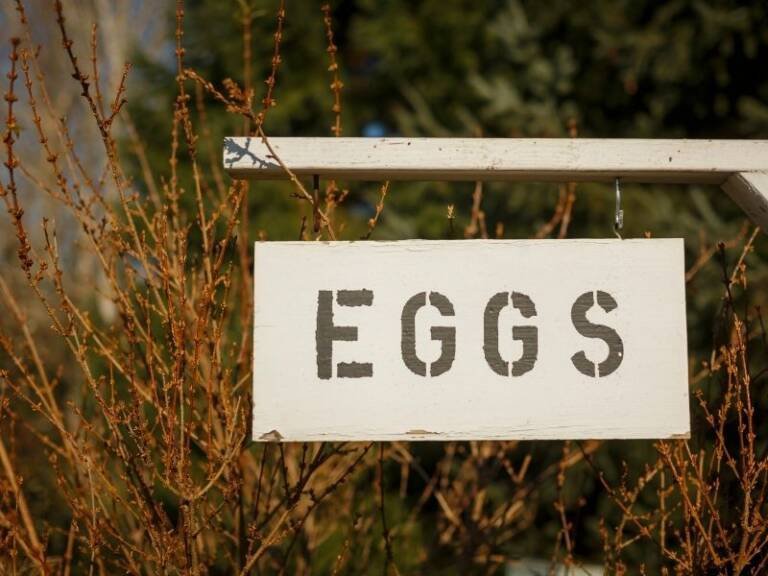 white and black wooden sign that says eggs