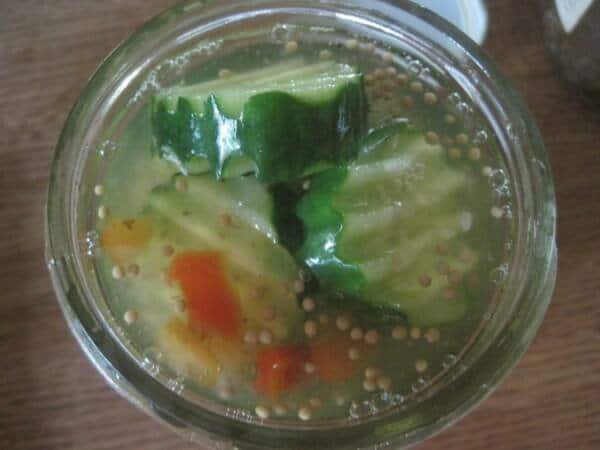 Fresh cucumber slices in brine for refrigerator pickles.