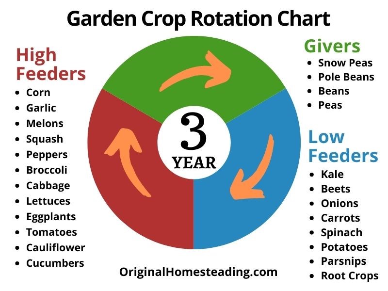 garden rotation chart Planning the garden: crop rotation