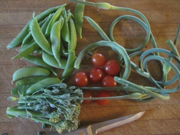 Garlic Scapes and Garden Produce