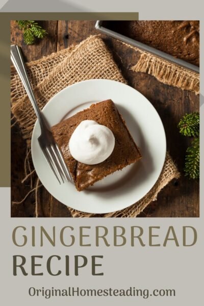 ginger bread recipe promo image