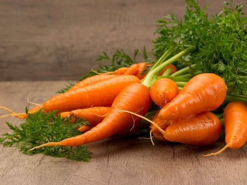 Organic heirloom carrots with lush green tops, perfect for sustainable home gardening.