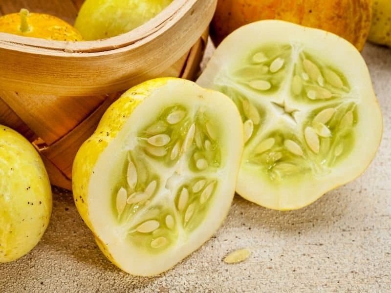 lemon cucumbers seeds are a heritage variety 