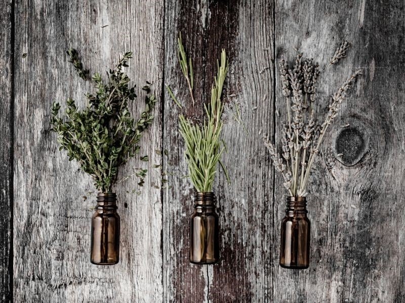 little brown bottles holding sprigs of fresh herbs