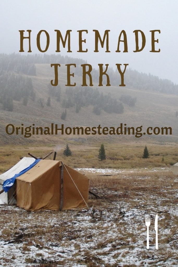 EASY HOMEMADE JERKY RECIPE | Honey and Pepper Flakes promo image