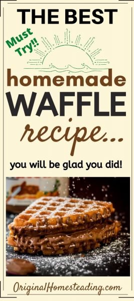 Homemade Einkorn Waffles with a Sourdough Flair promo image