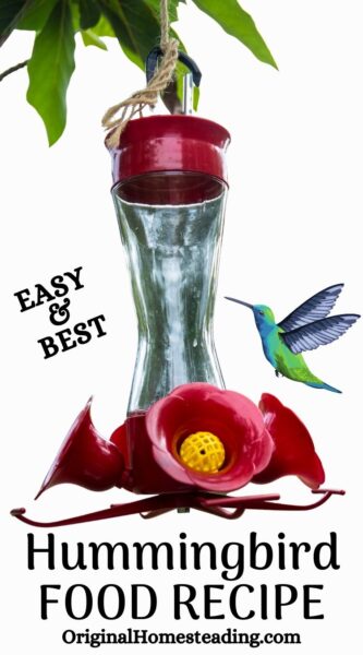 Humming Bird Food promo image