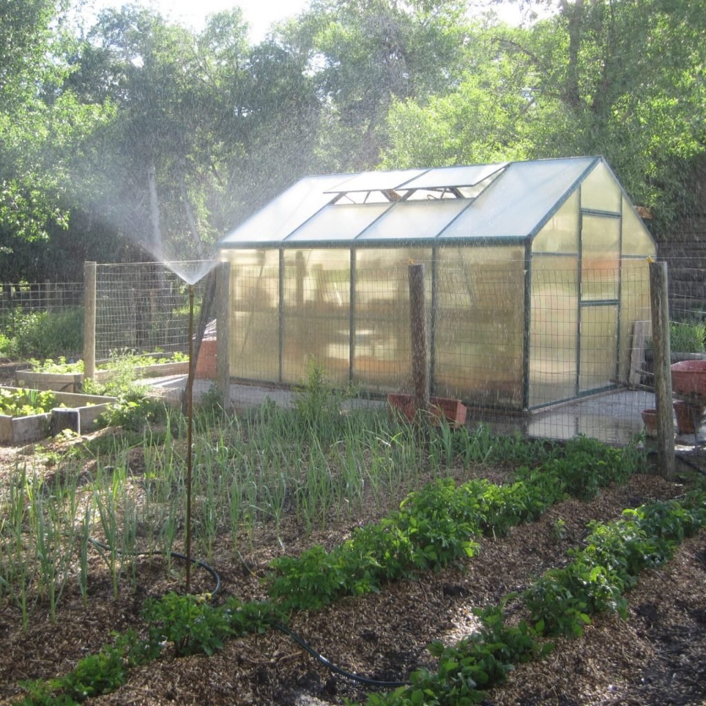 greenhouse in a large garden