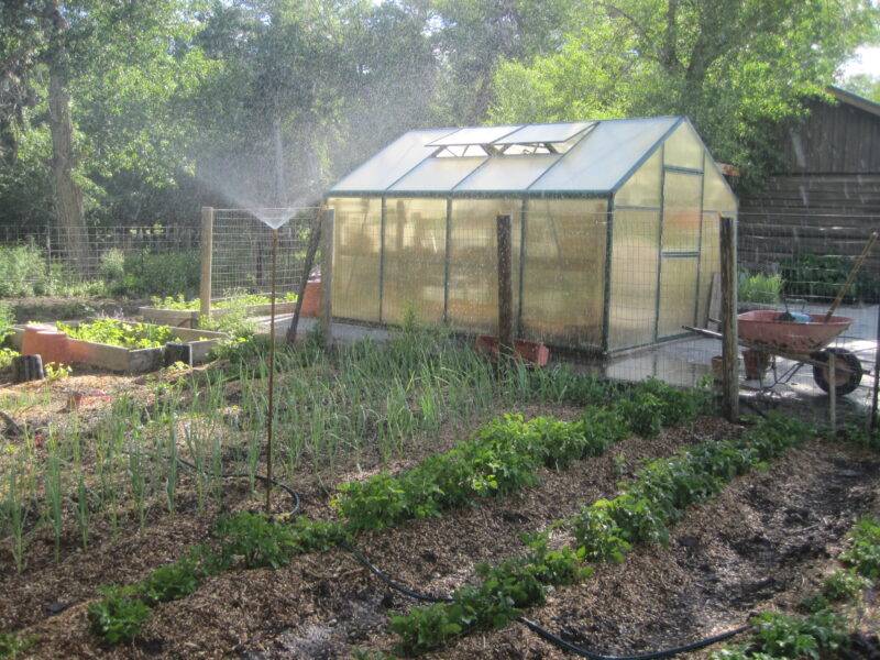 greenhouse in garden with sprinkler watering plants