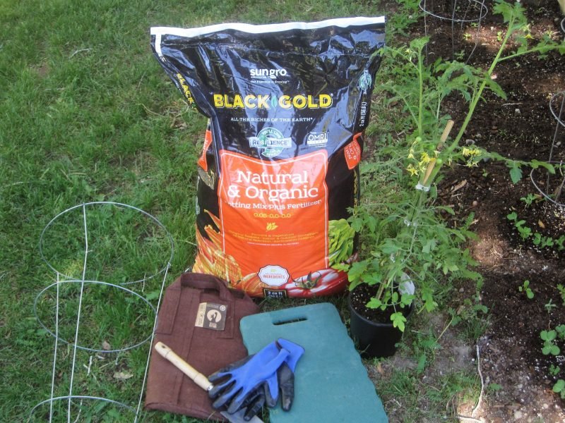supplies to transplant a tomato plant into a brown cloth growing pouch