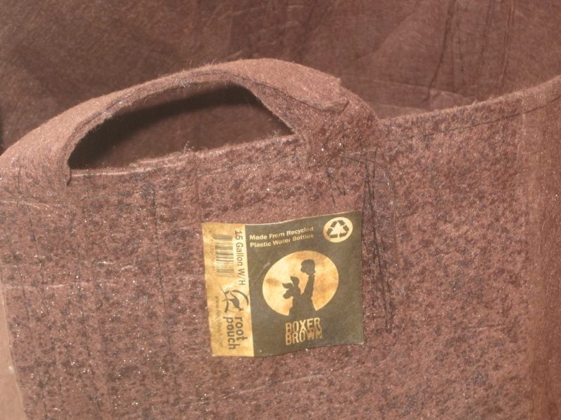 cloth growing bag for tomatoes