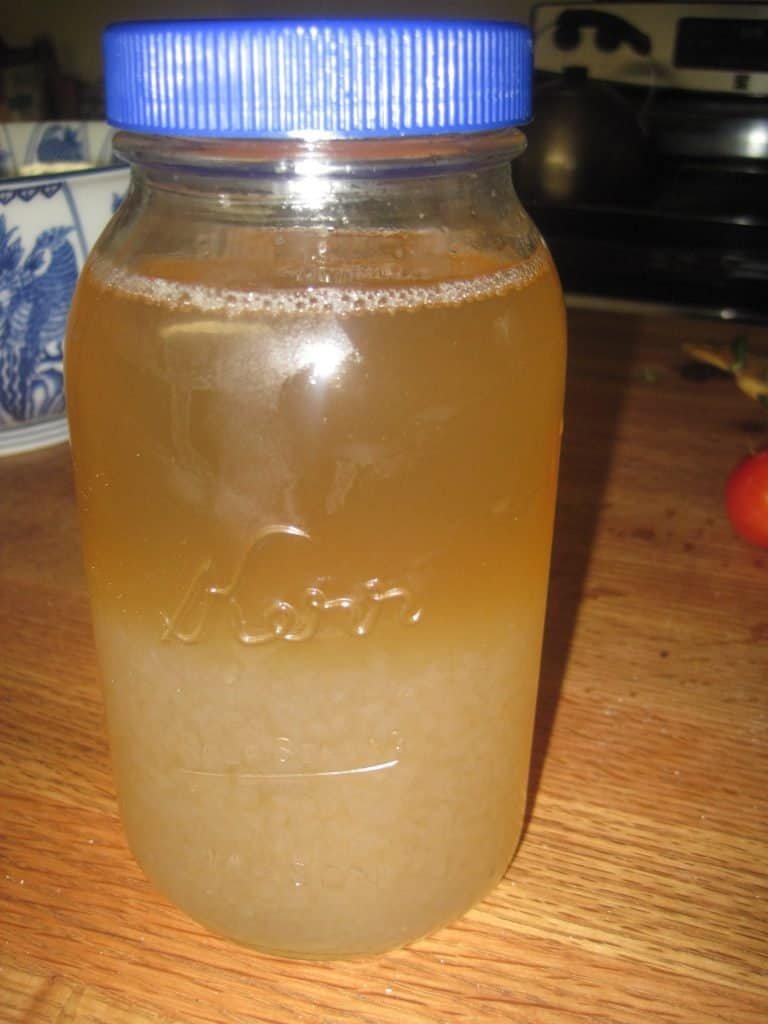Fermenting Water Kefir Grains