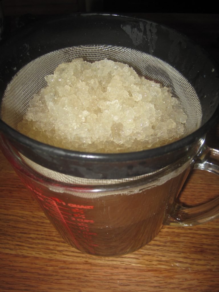 Straining Water Kefir Grains