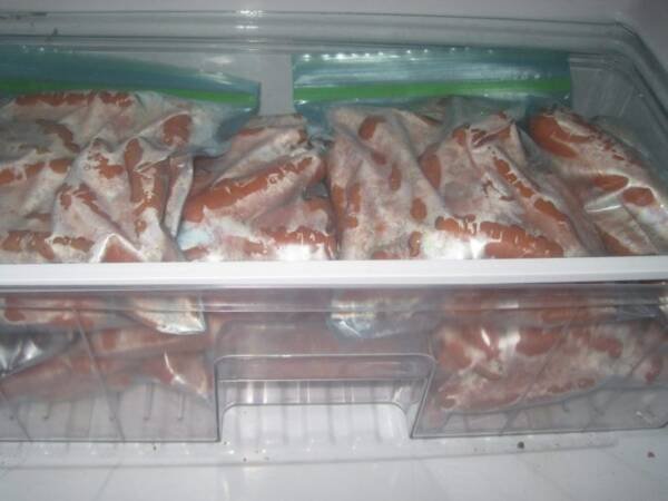 Carrots in Bags for Winter Storage II