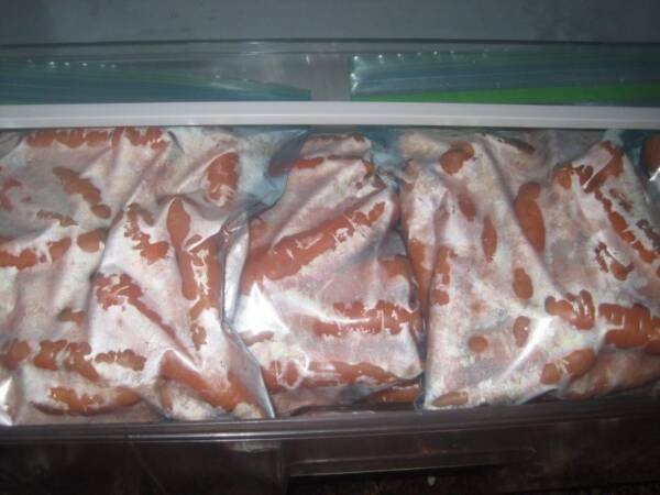 Store Carrots in Your Refrigerator I