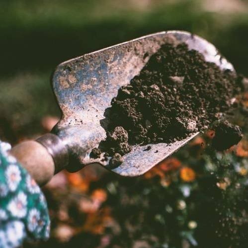 Improve Garden Soil in 4 easy steps