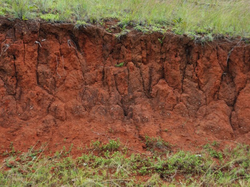 Is Clay Soil Acid Soil 