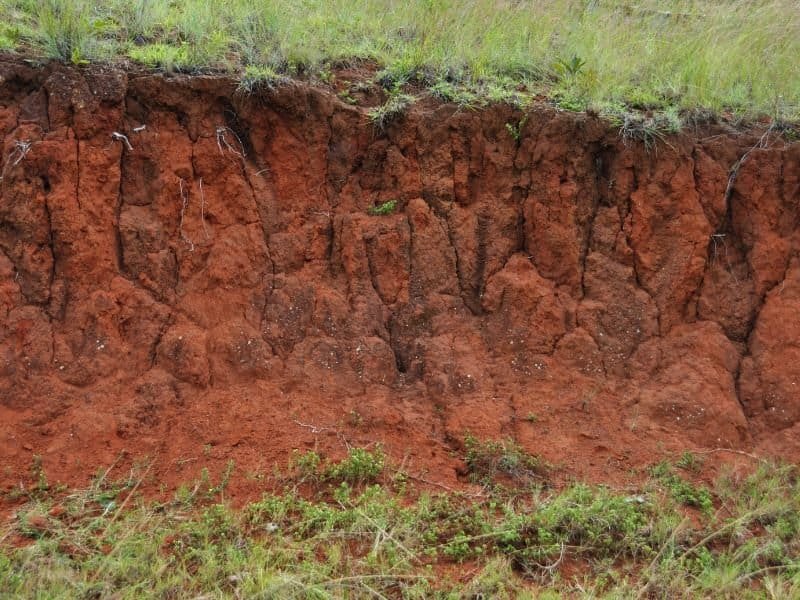 thumbnail image 2 of 30 Pounds Georgia Red Dirt Clay Soil – Natural Horse Shoe Clay, Free Shipping 2 of 6
