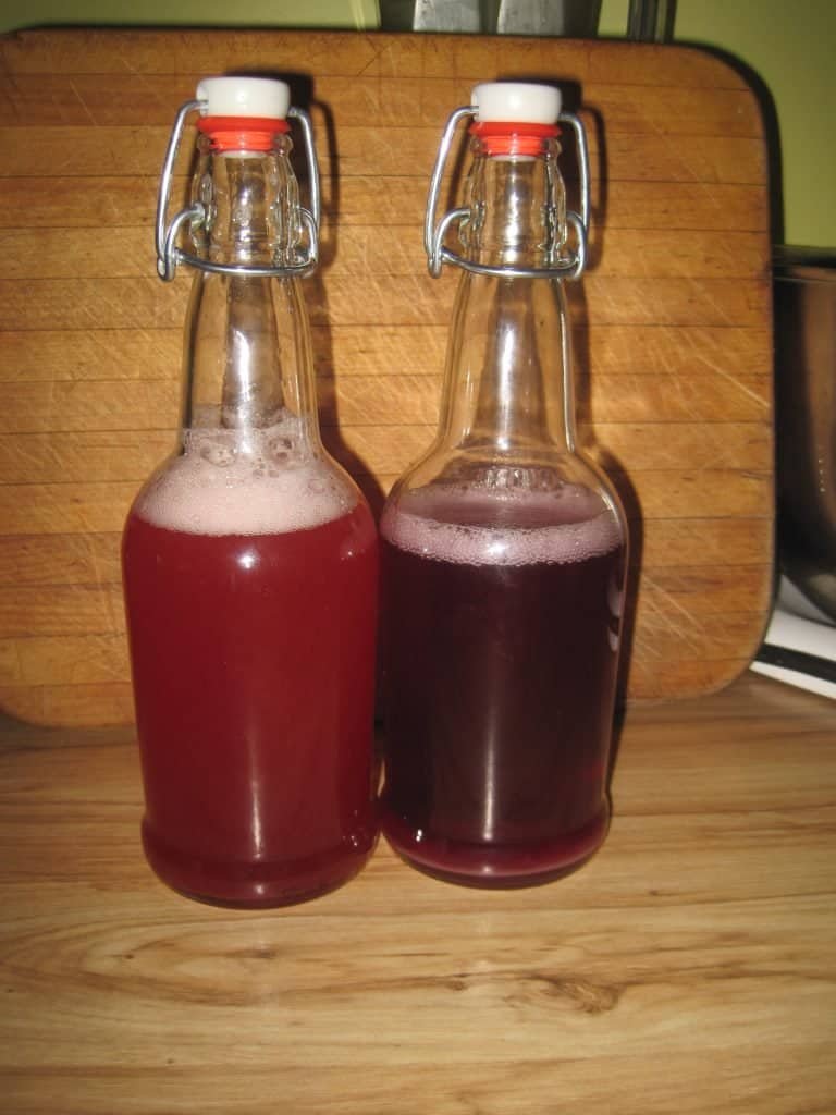 Kefir Water Soda Bottles on Table