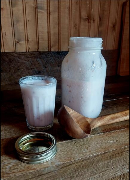 freshly made milk kefir with a wooden ladel