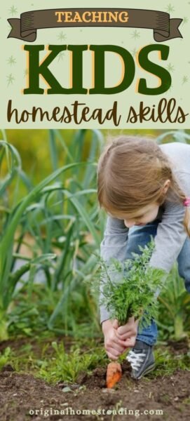 Homesteading Skills to Teach Your Children promo image