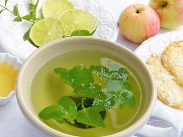 lemon balm tea in a cup on a table with slices of lemon and an apple