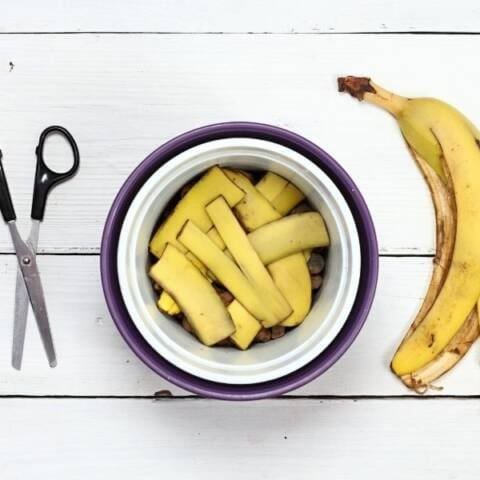 ingredients for banana peel fertilizer