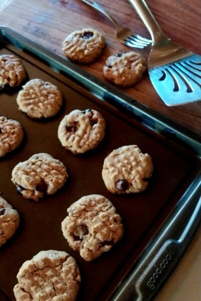 healthy cookies fresh from the oven