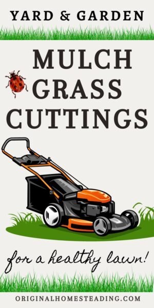 grass mulching benefits for a healthier lawn: but why? promo image