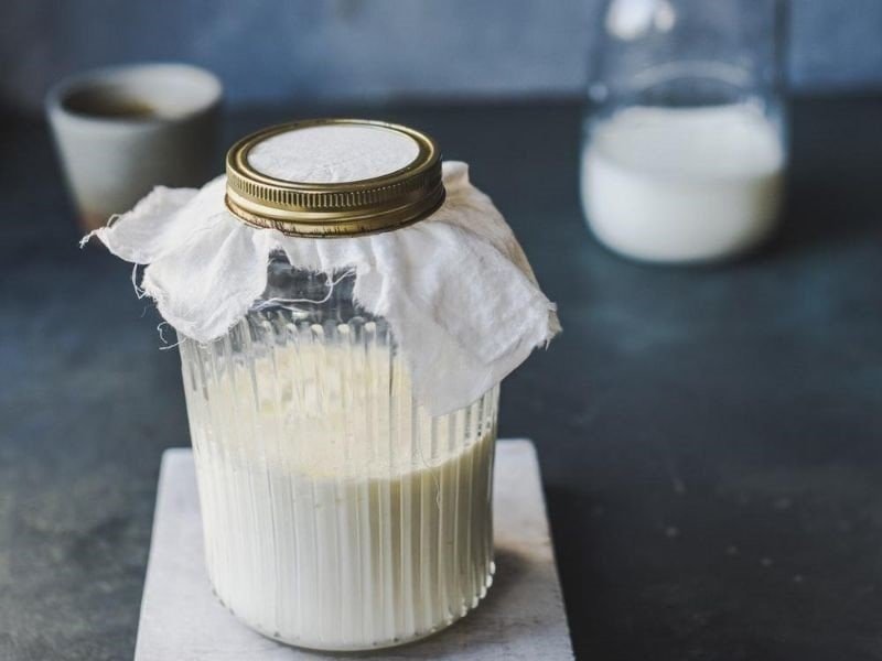 WHAT ARE KEFIR GRAINS How To Use Them At Home WHAT ARE KEFIR GRAINS How To Use Them At Home