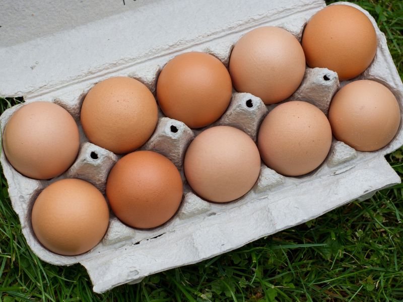 12 fresh brown eggs in an egg carton