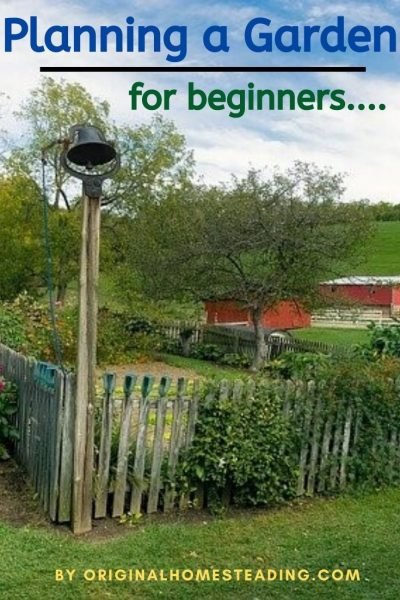 beautiful well planned summer garden